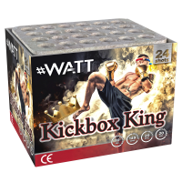 Kickbox King, 24-Schuss Pyromould Batterie NEU