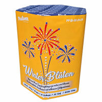 Winter Bl&uuml;ten, 19-Schuss Batterie